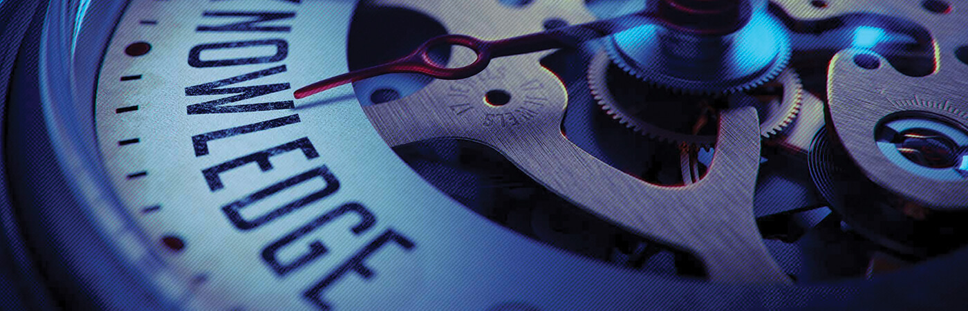 Two column section image